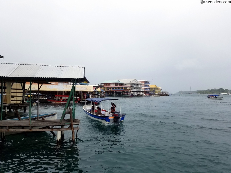 bocas water taxis