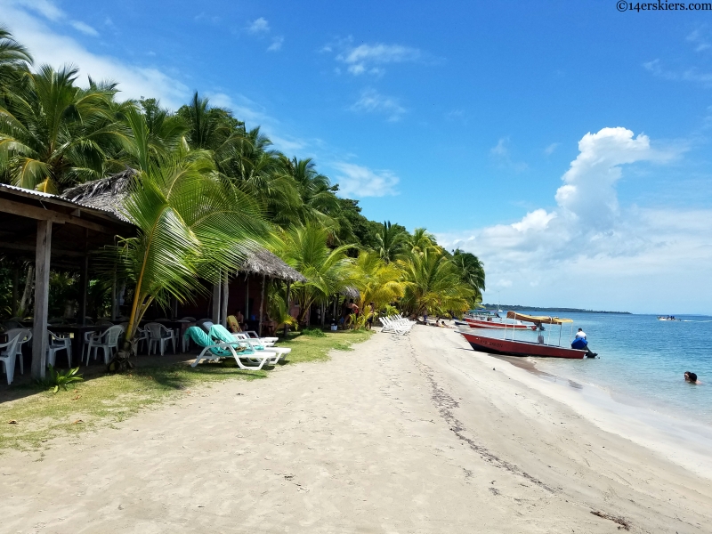 starfish beach bocas del toro