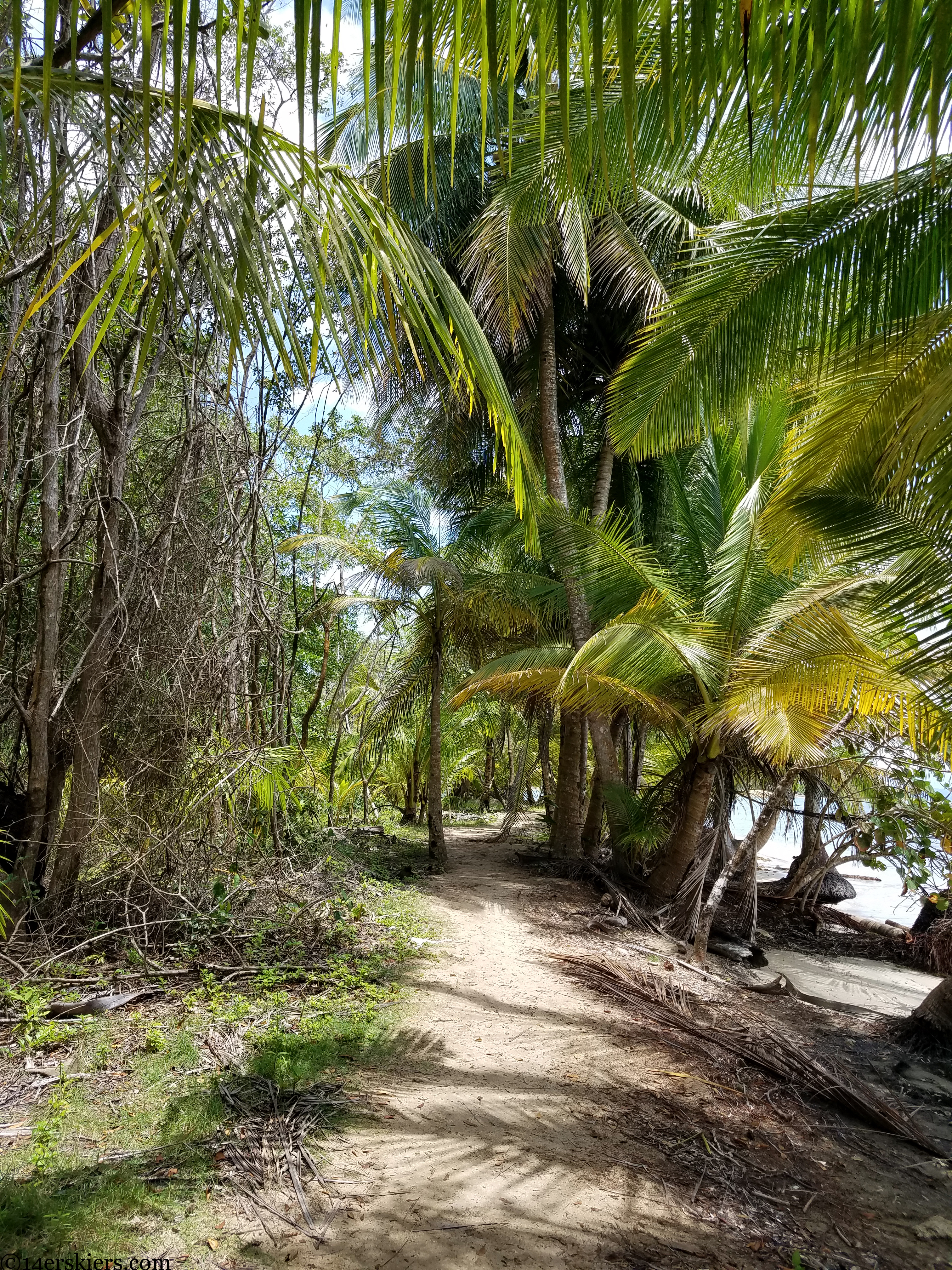 bocas del toro beach