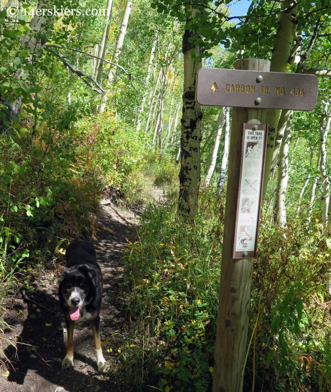 Carbon Creek trail sign near Crested Butte