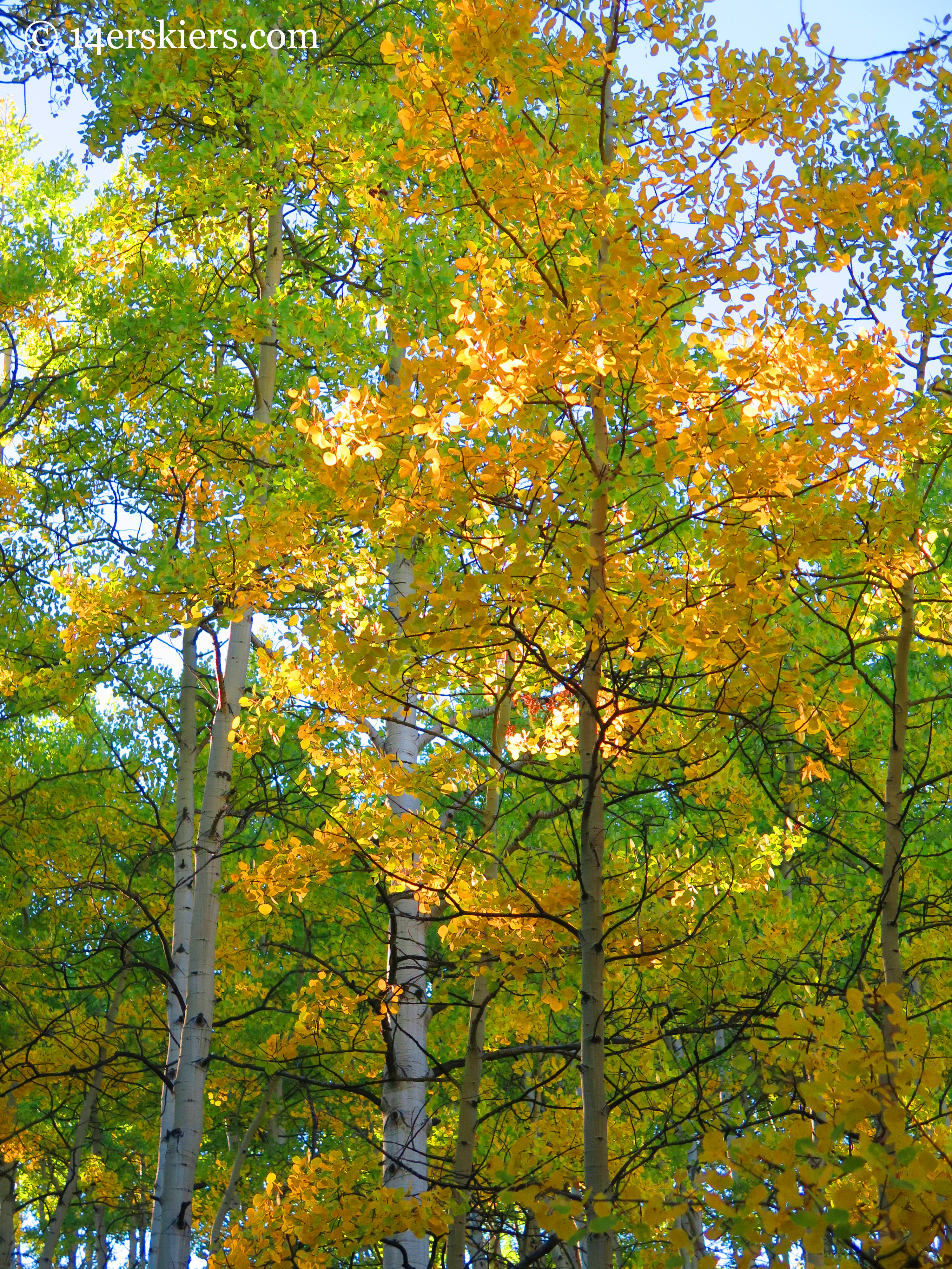 fall hiking on Carbon Creek near Crested Butte