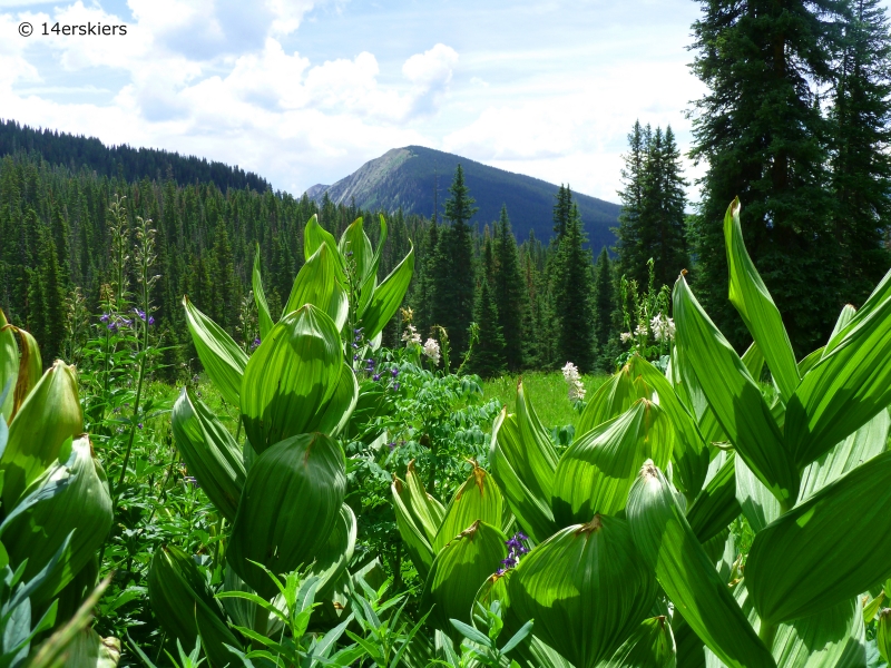 Copley Lake Hike near Crested Butte, CO.