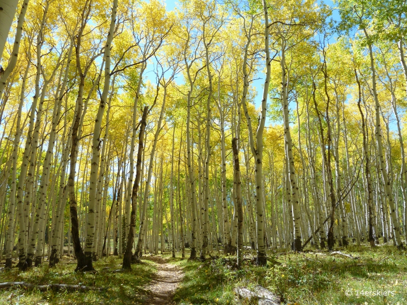 Dyke to Dark Canyon hike near Crested Butte