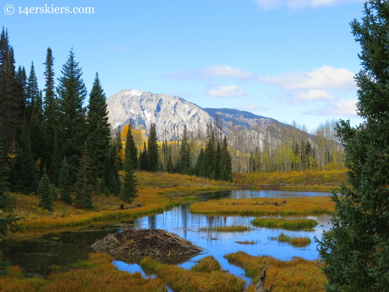 beaver ponds in the fall near Crested Butte