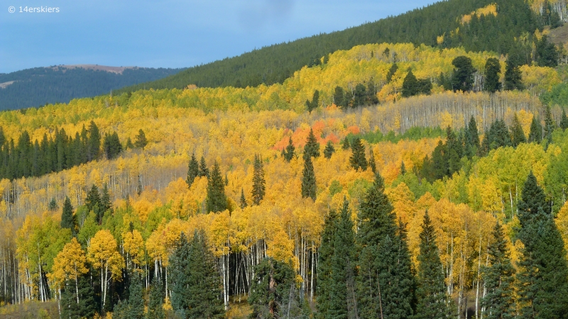 Fall colors in Crested Butte