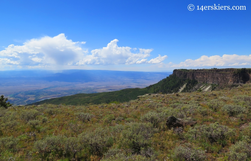 view westward on the Grand Mesa