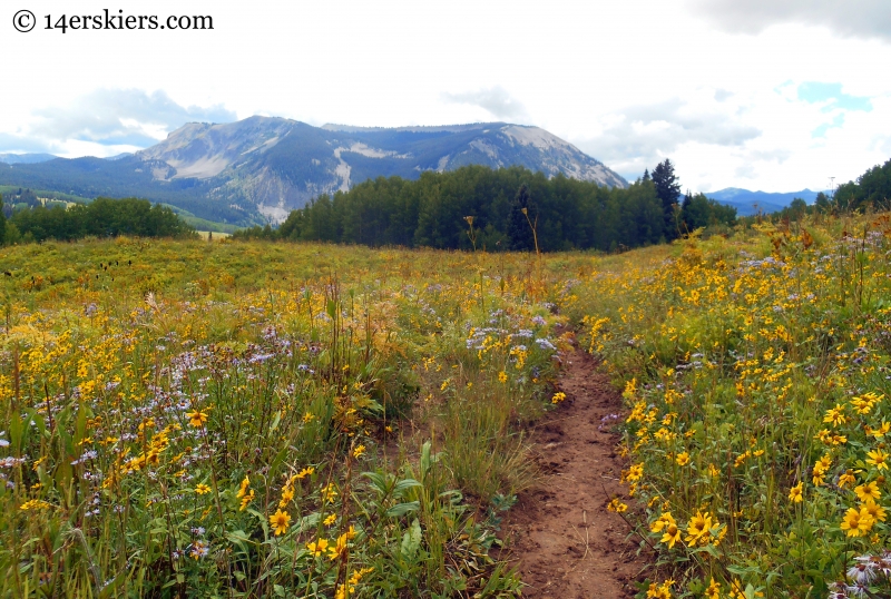 Storm Ridge as seen on our way from Horse Ranch to Swampy Pass.