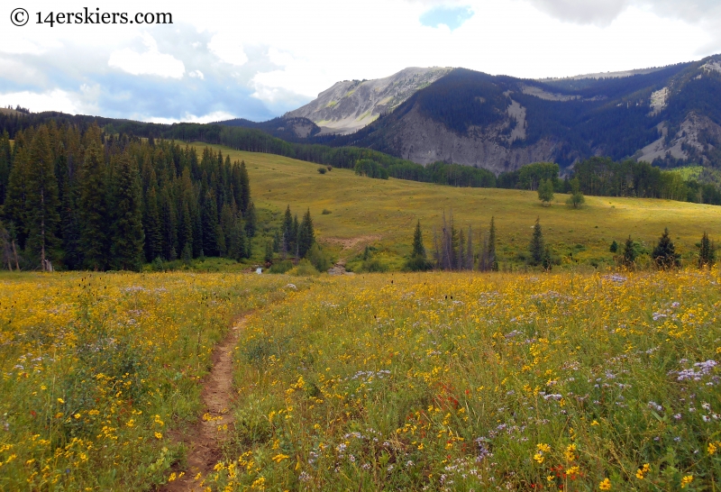 Cliff Creek trail from Horse Ranch to Swampy Pass