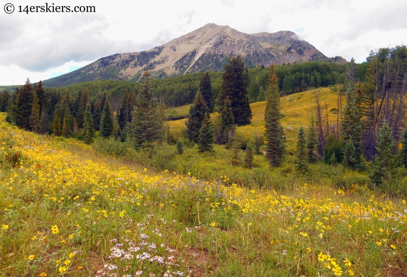 East Beckwith from Lowline trail near Swampy Pass, Crested Butte