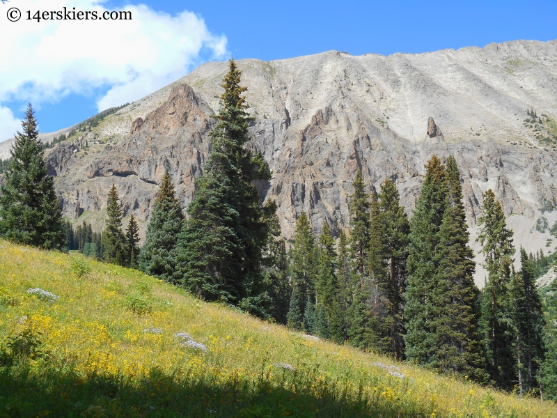 Anthracites from Swampy Pass Trail. 