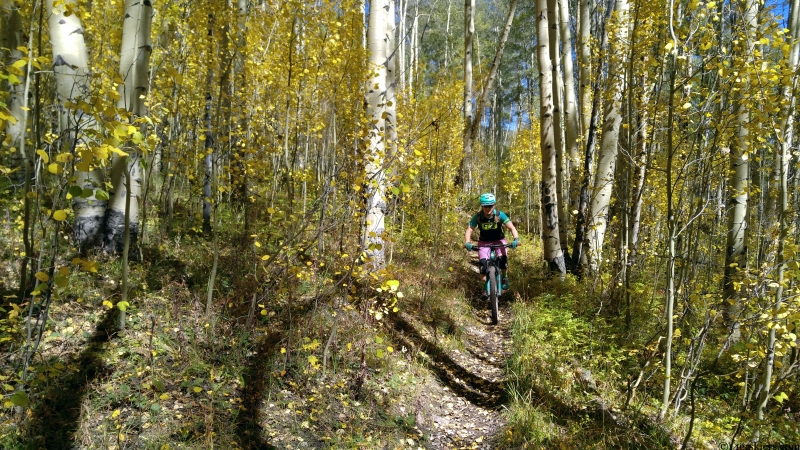 fossil ridge singletrack