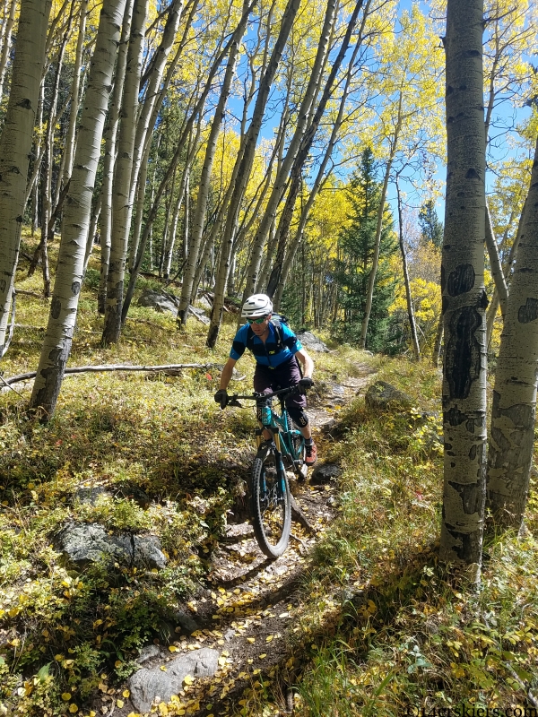 aspen leaves mtb