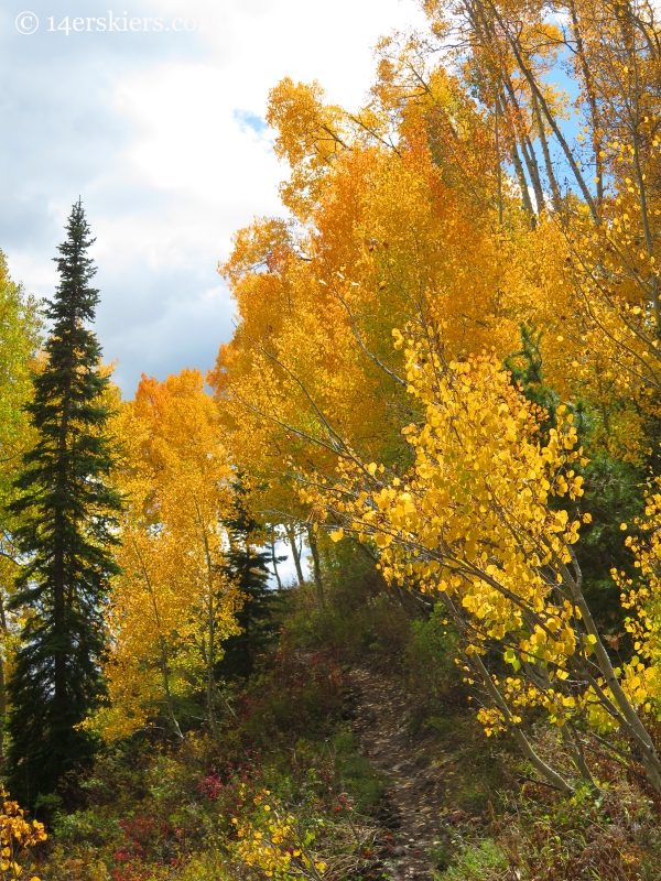 fall colors on Long Lake hike