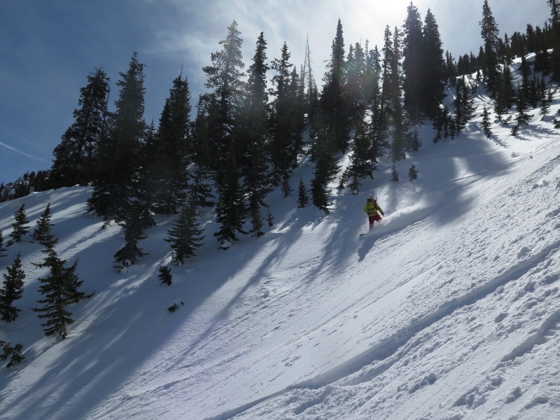 backcountry skiing in the Powder Factory