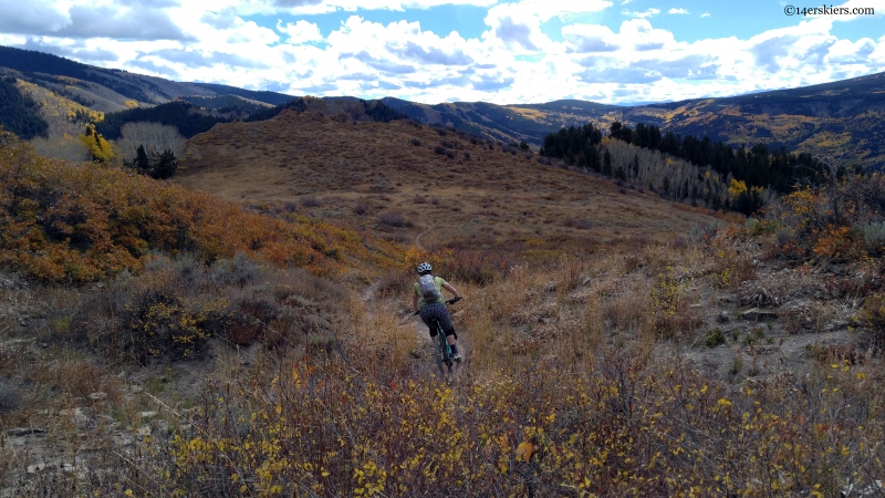 basalt mountain bike