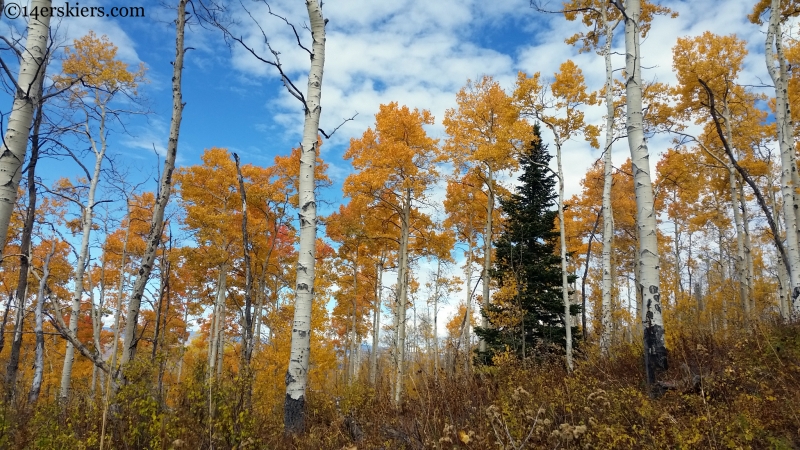 colorado fall colors