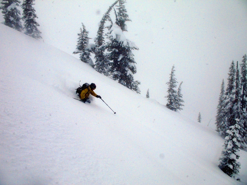 Backcountry skiing Roger's Pass, British Columbia, Canada