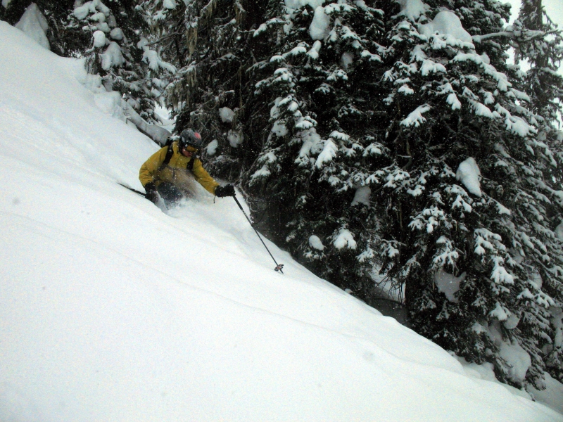 Backcountry skiing Roger's Pass, British Columbia, Canada