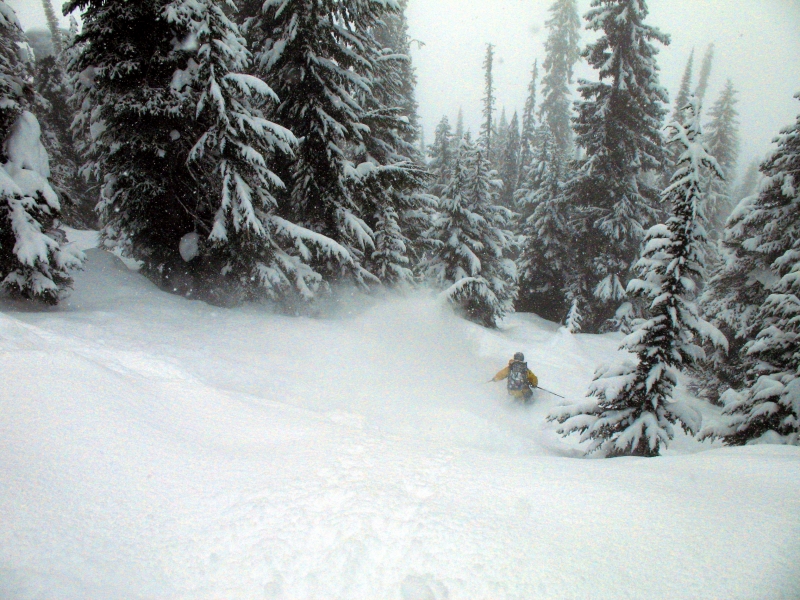 Backcountry skiing Roger's Pass, British Columbia, Canada