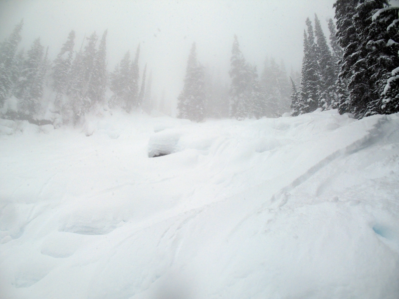 Backcountry skiing Roger's Pass, British Columbia, Canada