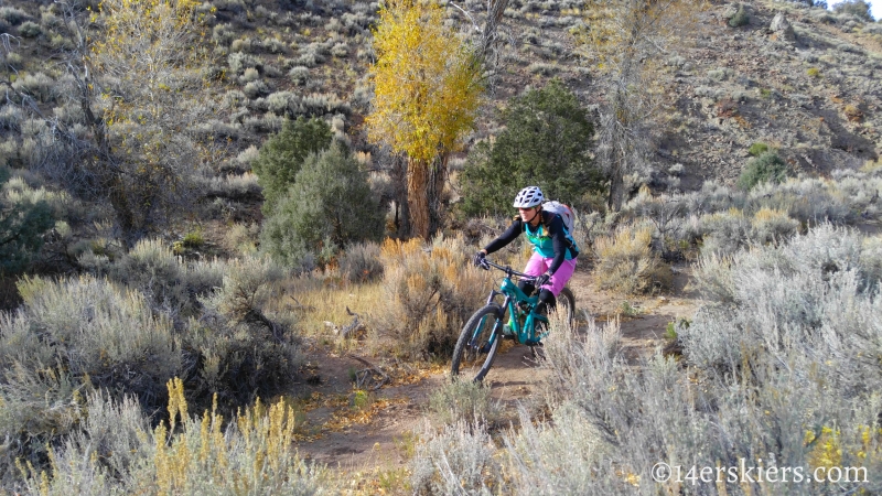 Mountain biking Signal Peak near Gunnison, CO.