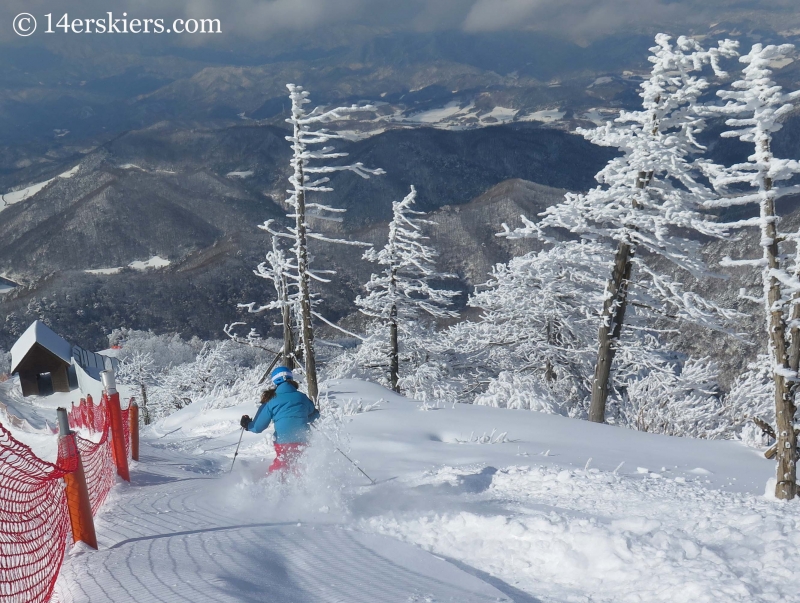 Brittany Konsella skiing in YongPyong, South Korea. 