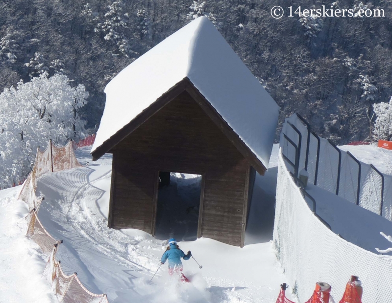 Brittany Konsella skiing in YongPyong, South Korea. 