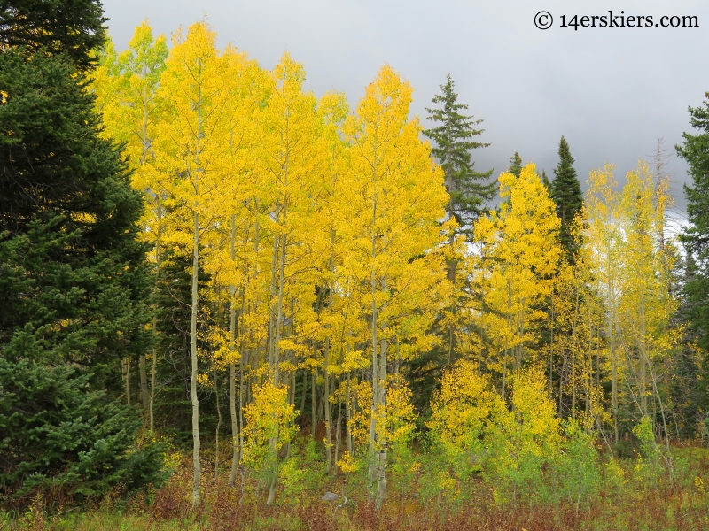 fall colors on Three Lakes Trail