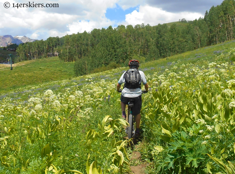 Mountain biking Crested Butte