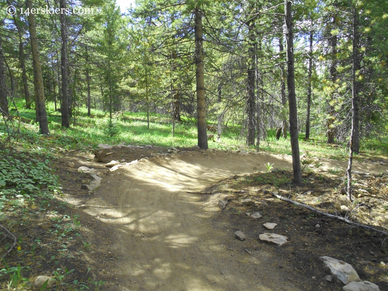 Primer trail at Crested Butte Mountain Resort