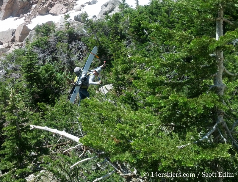 Bushwhacking to go backcountry skiing in Rocky Mountain National Park. 