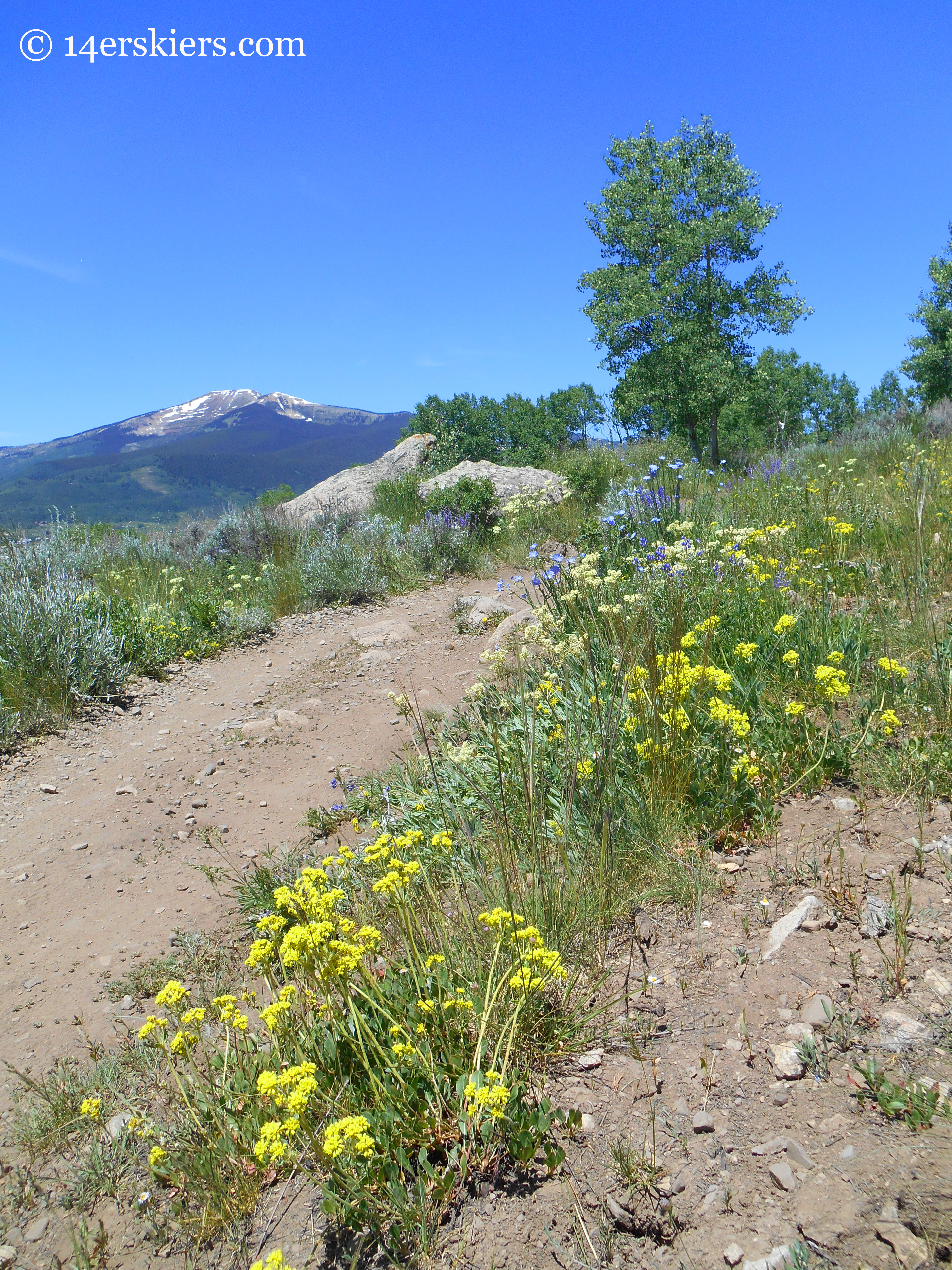 Upper Loop near Crested Butte.