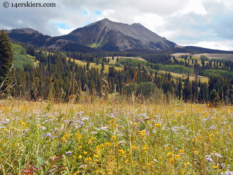 West end of Anthracites on trail from Horse Ranch to Swampy Pass