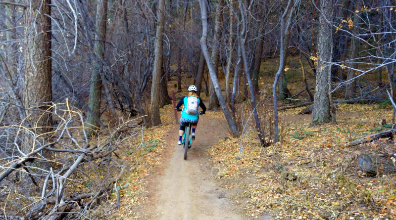 Mountain biking Enchanted Forest in Apex near Golden, CO