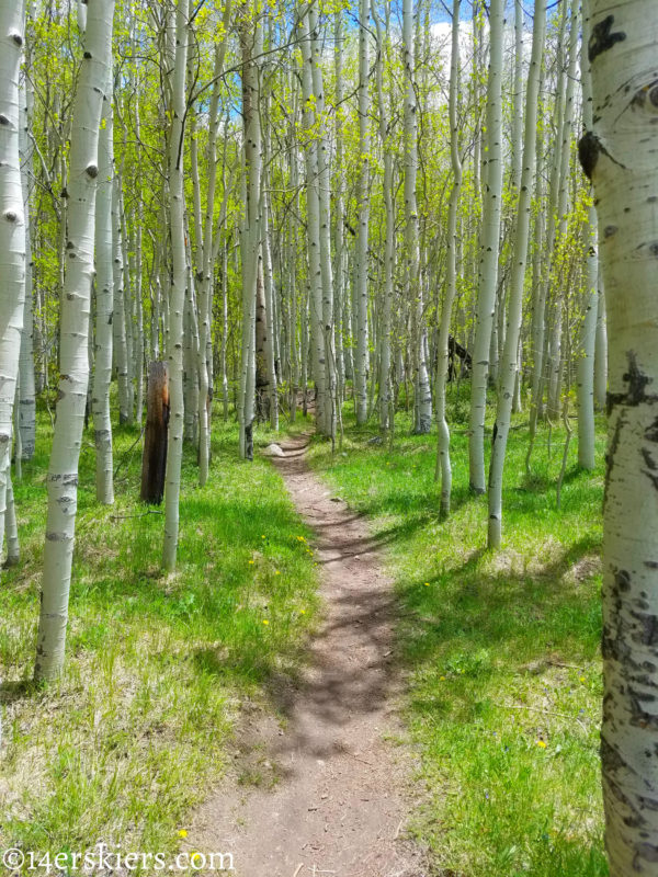Upper Loop - Early season hikes near Crested Butte