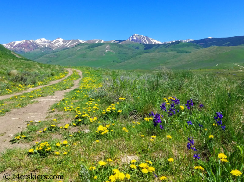 East River Trail - Brush Creek Trailhead - Early season hikes near Crested Butte.